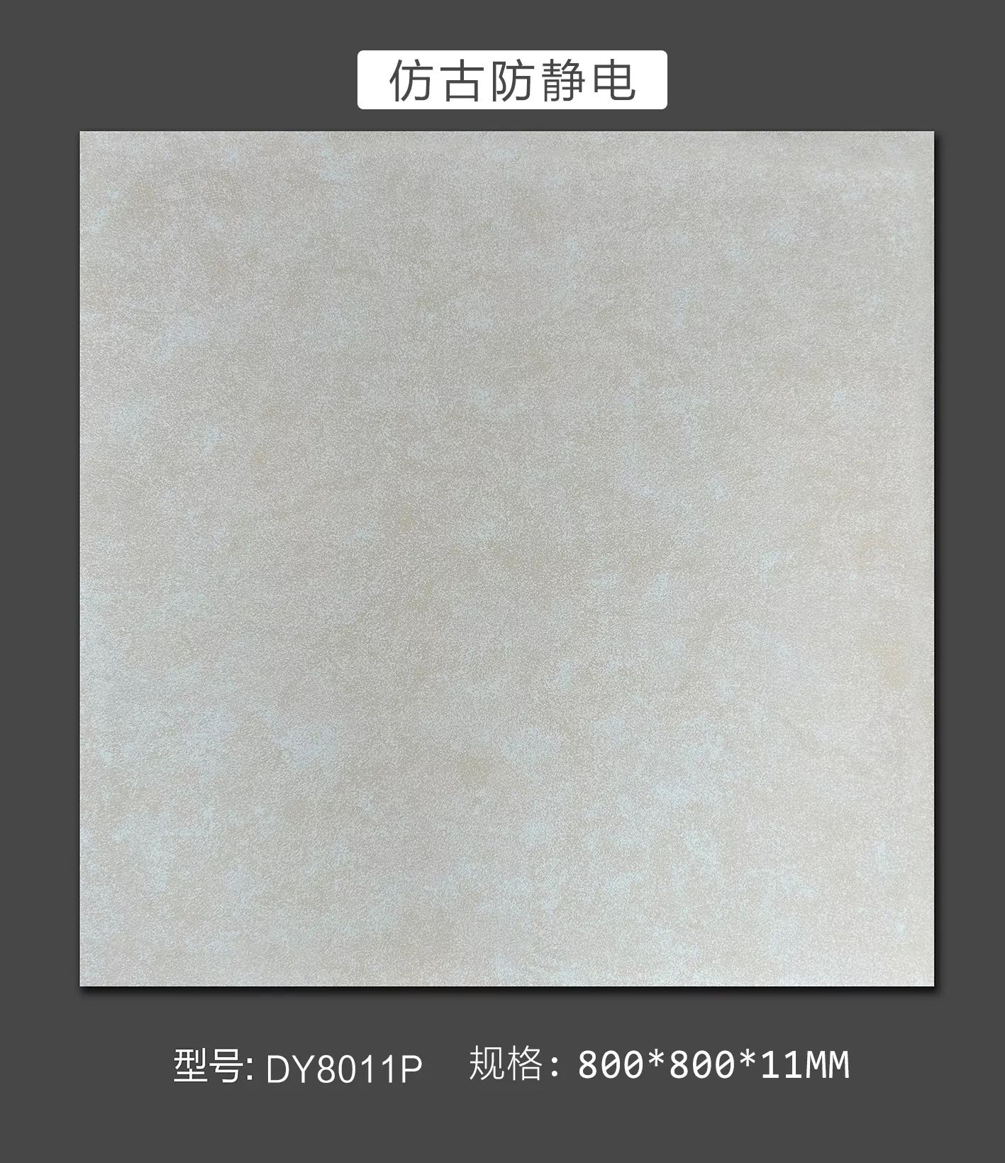 防静电瓷砖-DY8011P